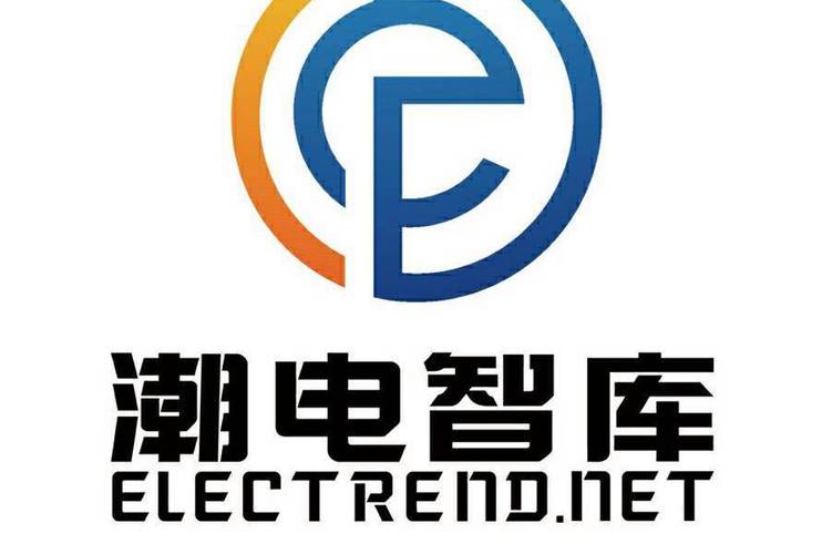 深圳市潮电网络科技 专业信息咨询服务的领航者